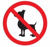 Da proibição de animais em condomínios de apartamentos
