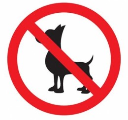 Da proibição de animais em condomínios de apartamentos
